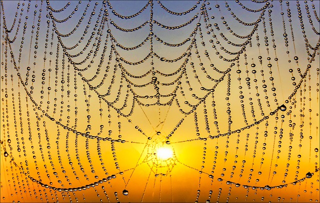 web