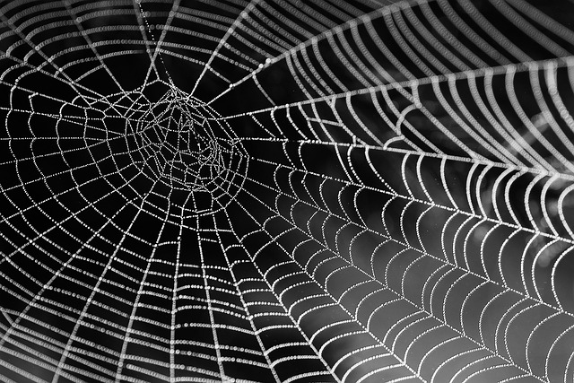 web