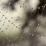 web